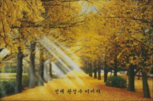 [sun]가을추억(SF-N48)- 도안만의 상품
