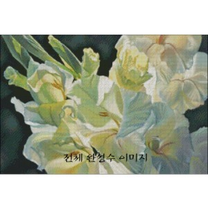 [sun]순백의꿈(SF-D34) - 도안만의 상품