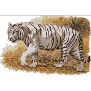 [sun]Tigre blanc(SF-A44)- 도안만의 상품