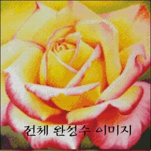 [sun]Yellow Rose2(SF-FM04)- 도안만의 상품