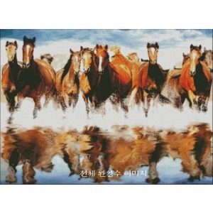 [sun]Horses in the water(SF-N78)- 도안만의 상품