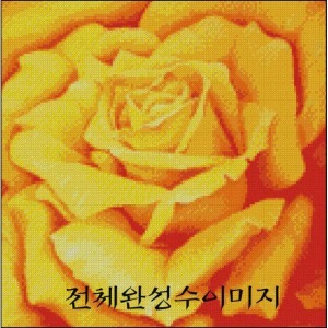 [sun]Yellow Rose1(SF-FM03) - 도안만의 상품
